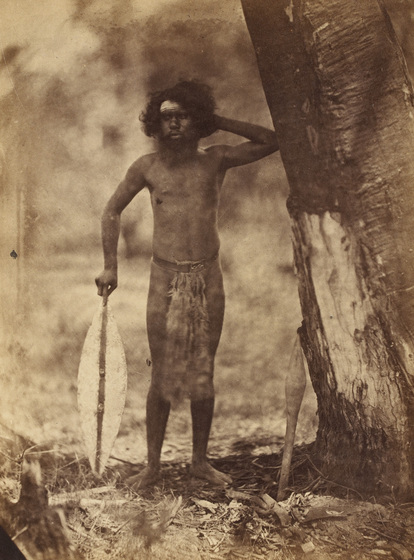 An early photograph, sepia with age, of a man standing next to the base of a very large tree with one hand holding a shield resting on the ground.