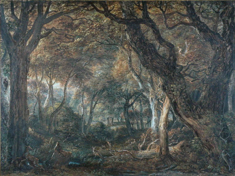 an English forest with grazing animals