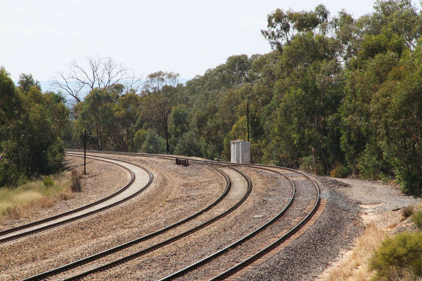 Close up of the curve in the train line The Lifting of the Rails location, surrounded by eucalyptus trees.