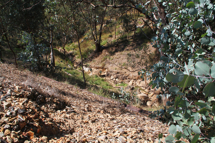 deep rocky gully surrounded by eucalyptus trees and shrubs.