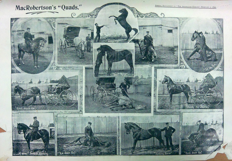 Montage of horse photos