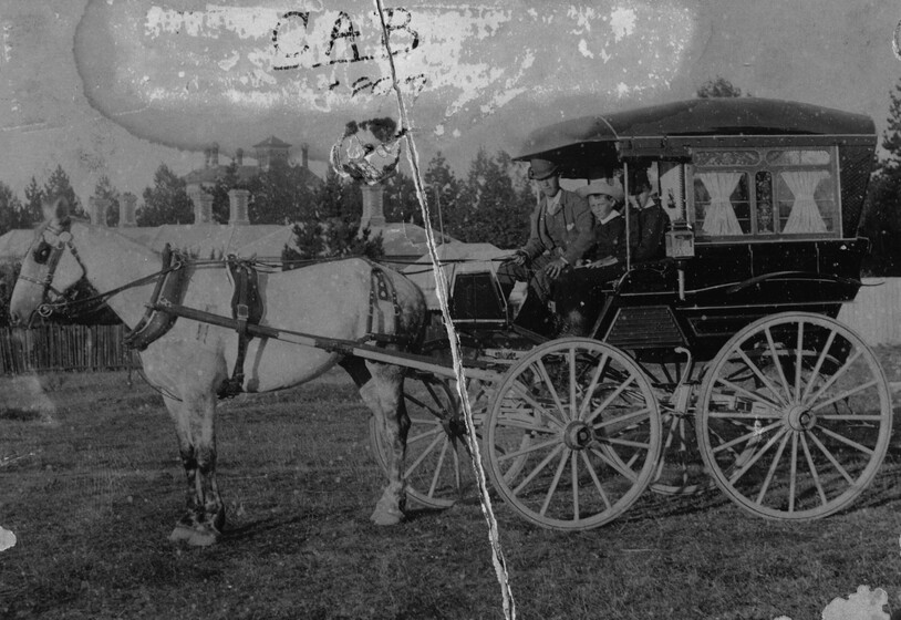Man woman and child in horse drawn buggy