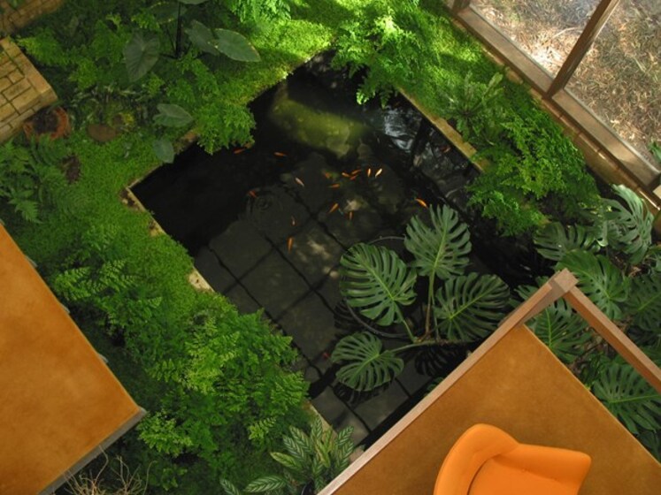 Aerial view of a pond inside a house