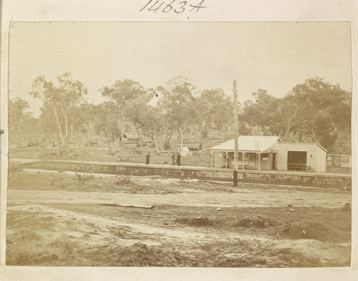 Pasture with house in background