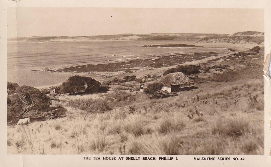 Seaside coastline with house and grass in foreground