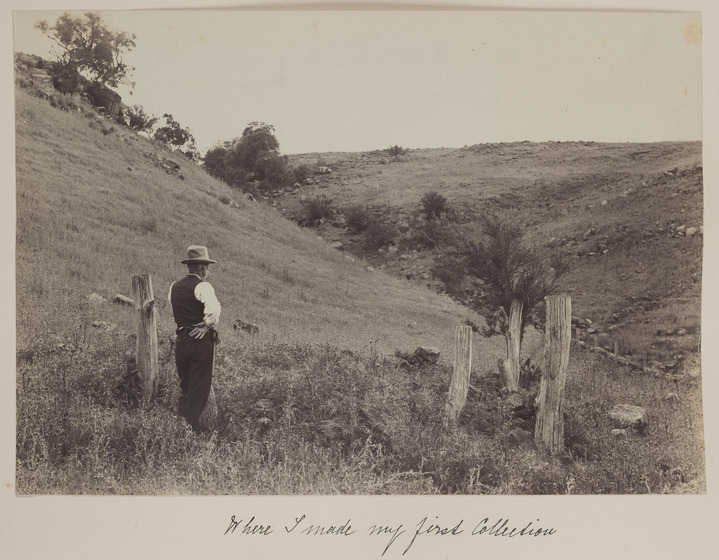 A smartly-dressed man stands with his back to the camera, surveying the hilly landscape.