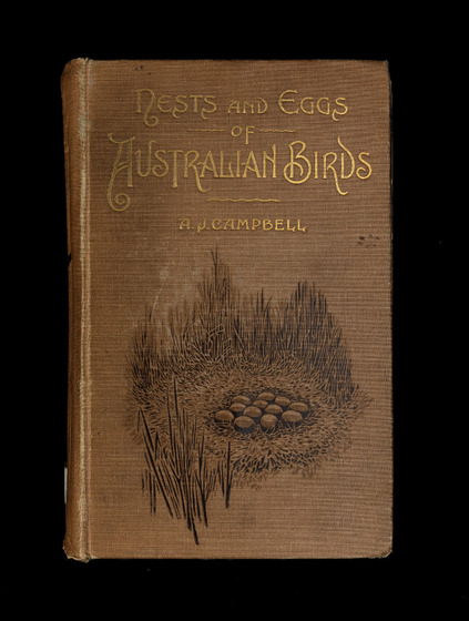 The cover of this book is brown with a black impression of eggs in a nest surrounded by grass and the title is printed in elegant gold script.