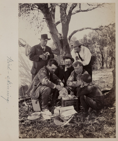 Three men and two boys watch while another man skinning a dead bird.