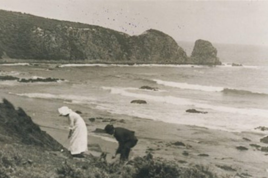 man and woman on hill overlooking beach