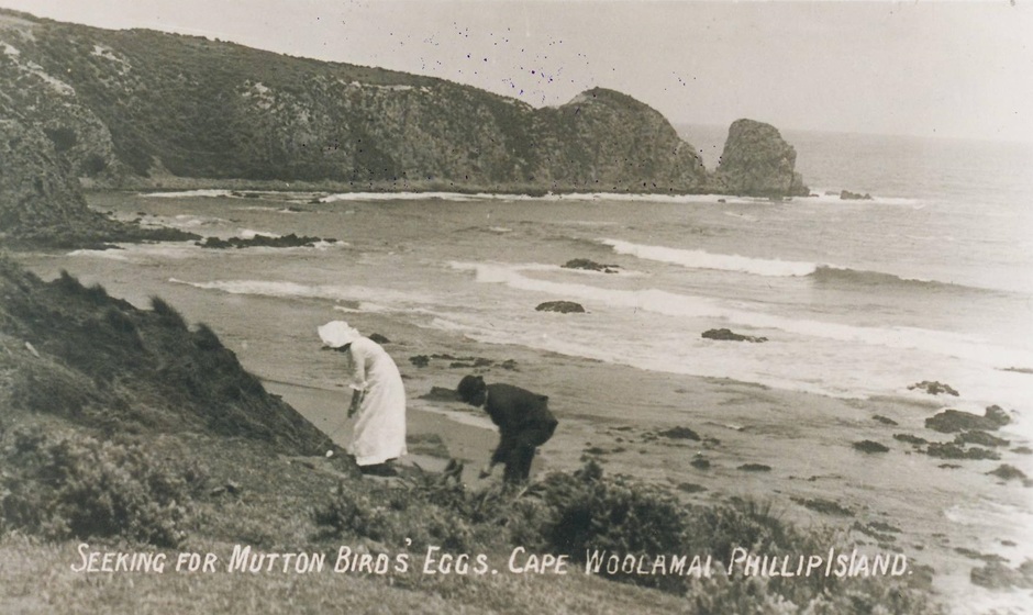 Man woman on hill overlooking beach