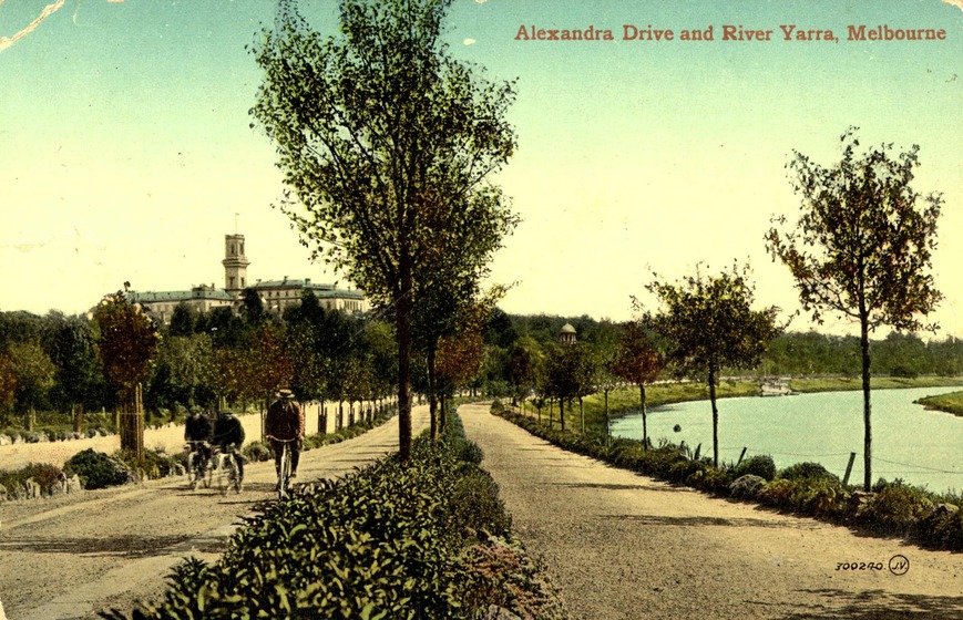 three men ride bicycles along a river bank