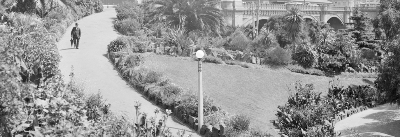 a man walks along a path in botanical gardens