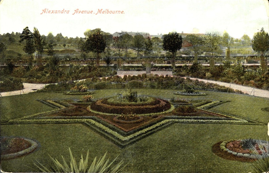 a garden bed in shape of a star