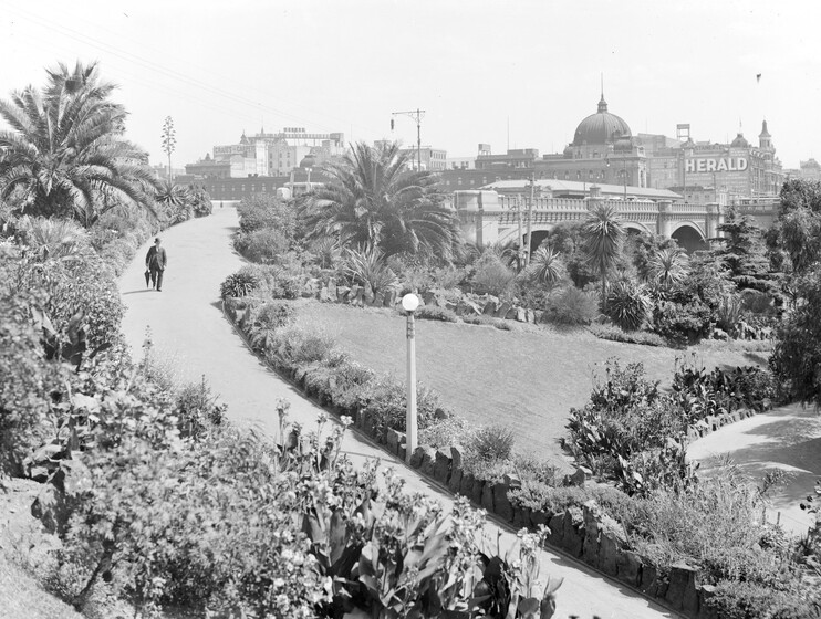 a man walks along a path in botanical gardens
