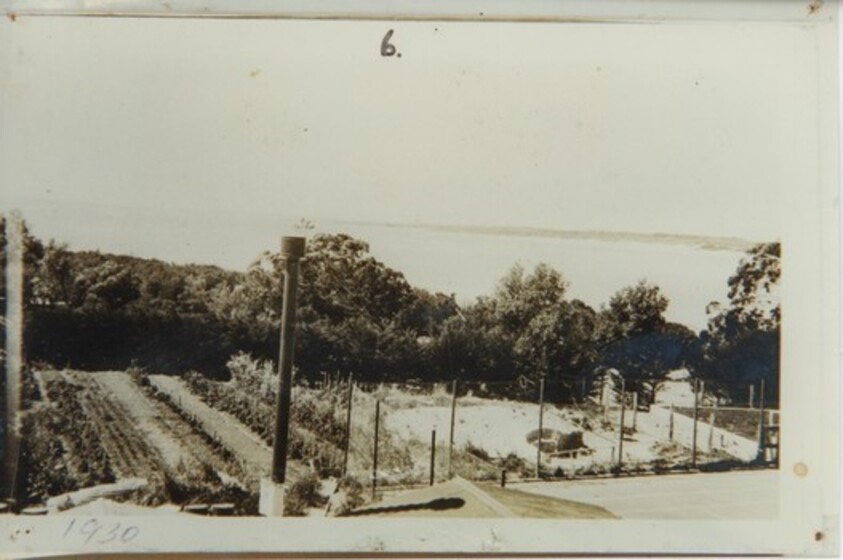 A black and white photograph of a large vegetable garden.