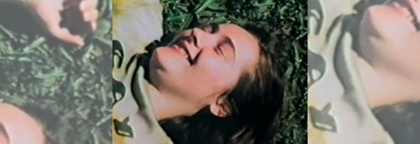 Colour photograph, close up, woman lying on grass smiling, collaged to create a banner image.