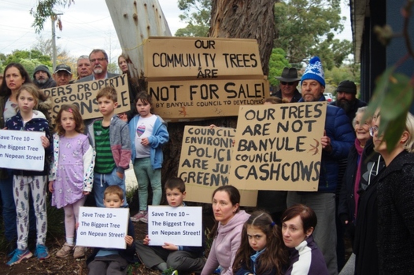 Group of men, women and children in front of trees holding cardboard signs reading Save Tree 10 and Not for sale. 