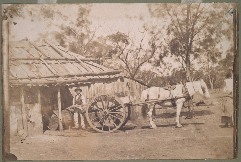 Black and white photograph of bark homestead with man and horse drawn cart.