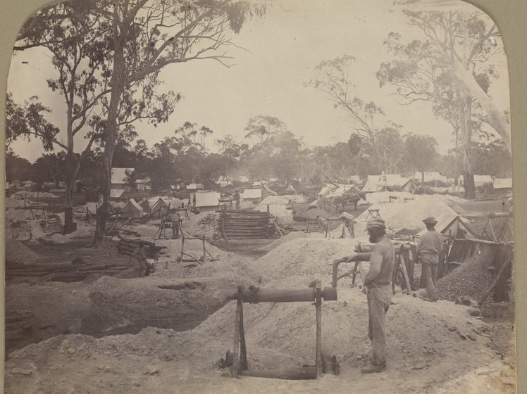 Black and white photograph of a goldfield with a forest in the distance, huts and tents and tailing heaps in the middle distance, a miner beside winding gear in the foreground.