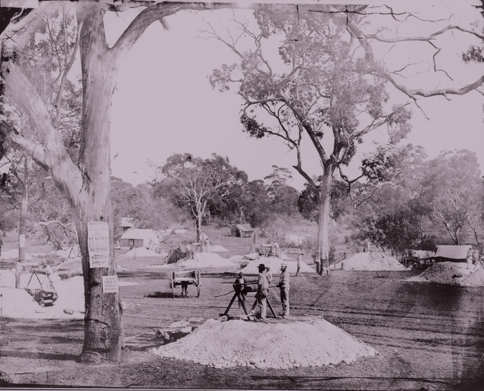 Black and white photograph of a goldfield with a wooded rise in the distance, tailing mounds among trees, winding gear on top of the mounds and two miners on top of the mound in the foreground.