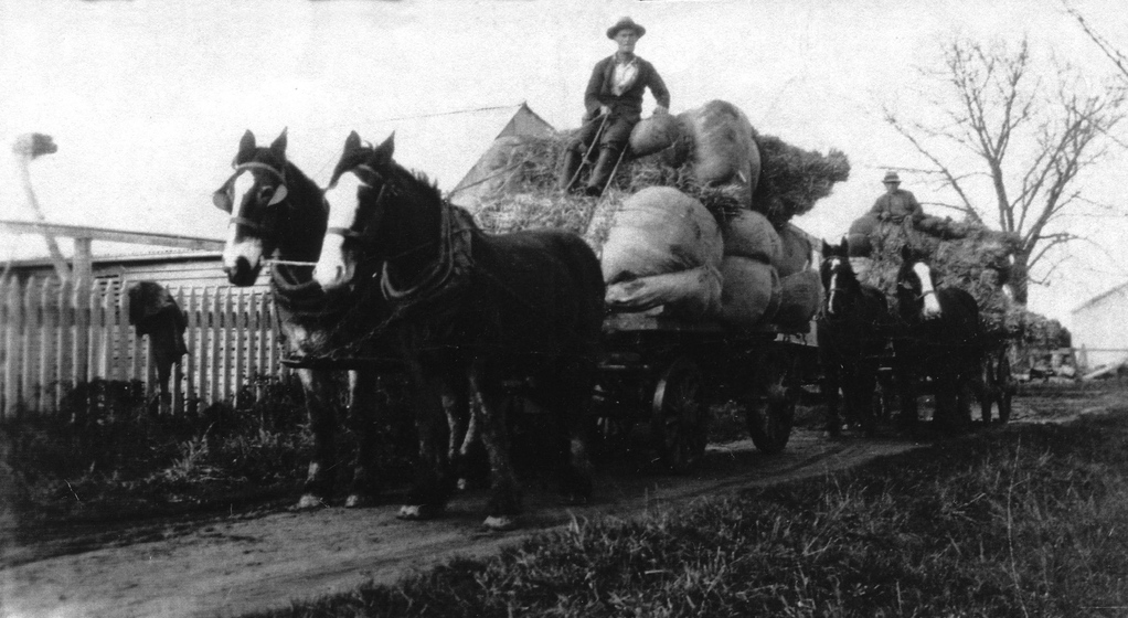 Black and white photograph of two carts each drawn by two horses each driven by a driver sitting on top of a pile of large bundles