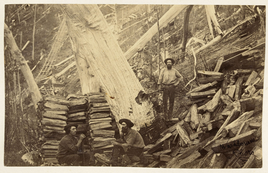 Sepia Victorian-era photograph of three men in a forest surrounded by chopped wood, stacked and scattered, two sitting and one standing holding an axe that rests in a tree.
