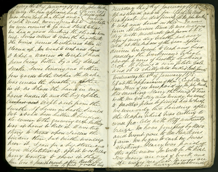 Double page spread of a handwritten diary.