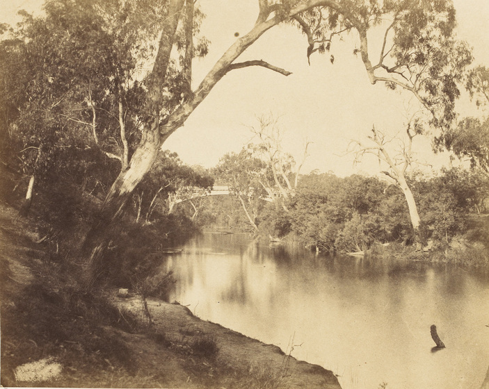 Sepia photograph of a river with banks wooded with eucalypts. High single arch bridge in distance.