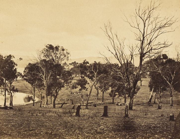 Sepia photograph of a partially cleared paddock with eucalypts, some dead, and some stumps and a post and rail fence. To the left a body of water.