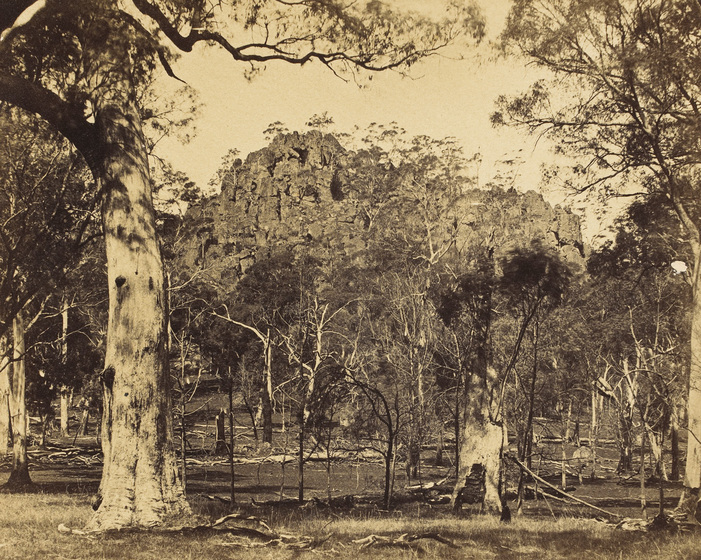 Black and white photograph of a large rock outcrop above a eucalypt forest.