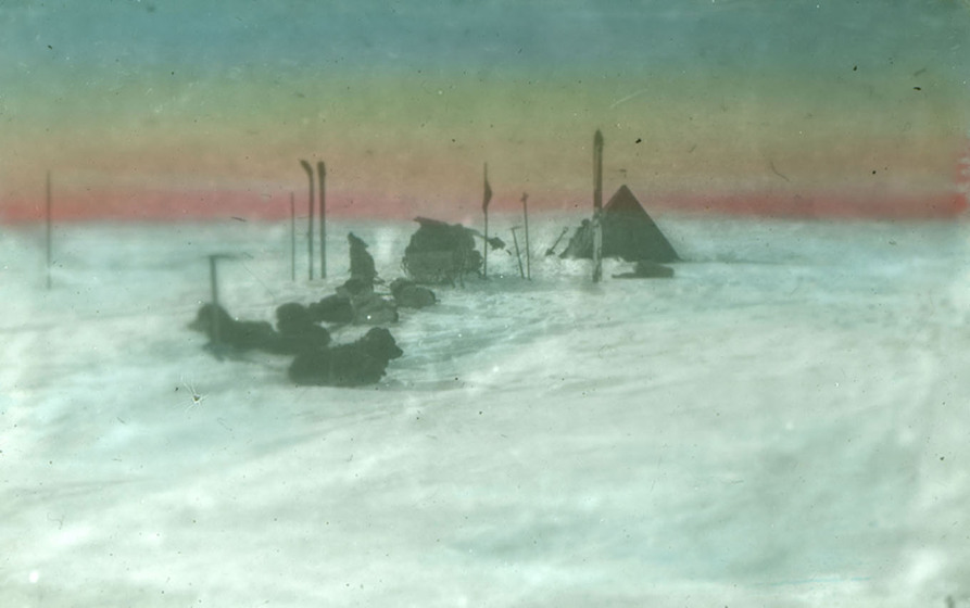 Hand-coloured photograph of a tent and some tethered dogs on an icefield.