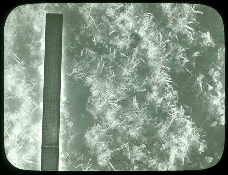 Black and white photograph of ice crystals with a ruler.