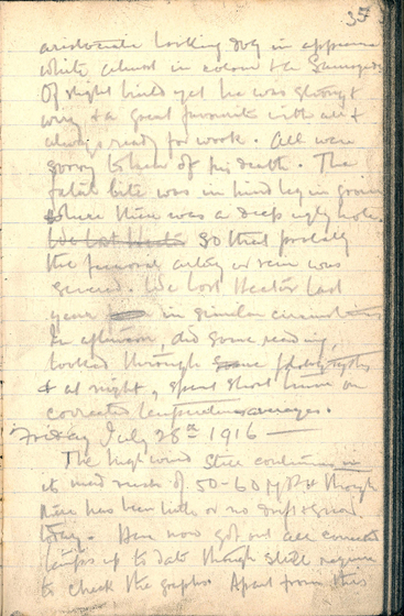 Page of handwriting