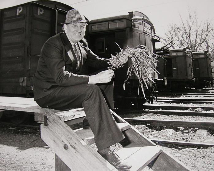 An older man in a suit and hat sits on a wooden platform. He is holding a bunch of eucalyptus leaves in his hands, and a series of train carriages are lined up behind him.