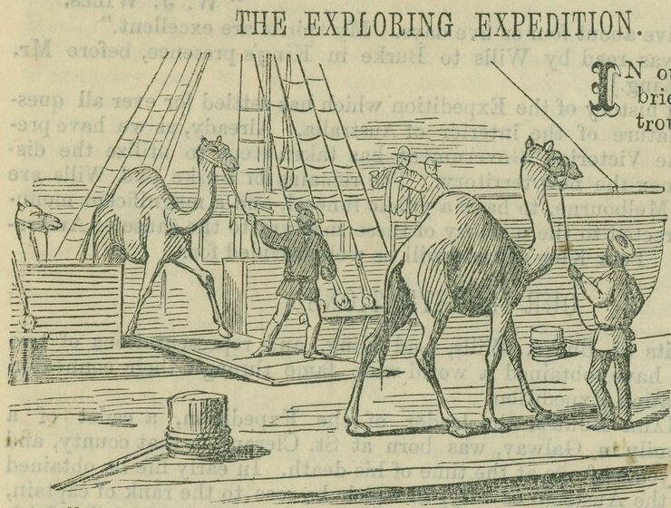 Men dressed in Middle Eastern attire lead two camels onto a boat.