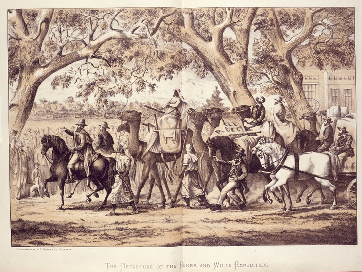 A large party of me, some on horses, some on camels, and some leading camels, parade past a large group of people watching the procession. Gum trees and a building frame the group.