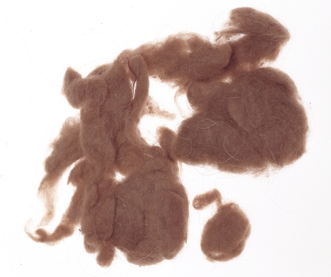 Matted brown hair, soft in texture and grouped into varying size piles.