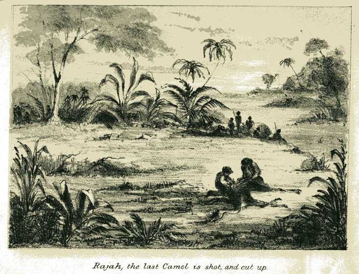 A black and white print of a landscape dotted with trees and low lying palms. In the foreground, two men hunch over an animal carcass. In the distance a group of men with spears watch on.