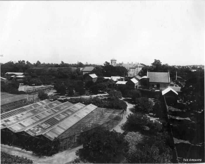 Black and white photograph from high view point of large house and garden with green houses.