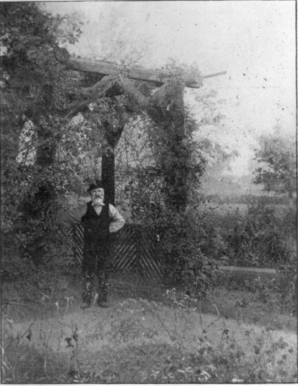Black and white photograph of man with white beard and cap standing under a large vine-covered pergola.
