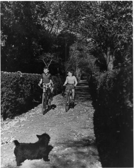 Black and white photograph of a boy and a girl bicycling along a garden path. Black Scotts terrier in foreground.