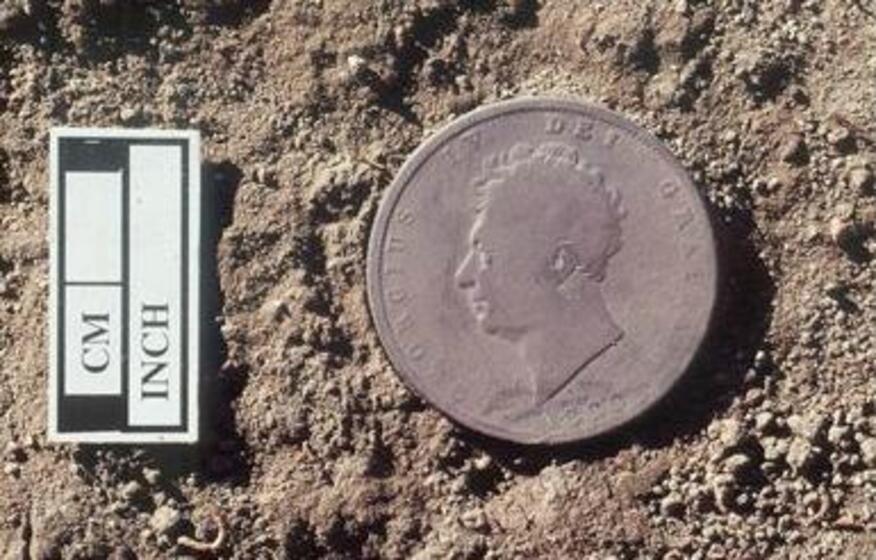 A coin with the profile image of man on the front.