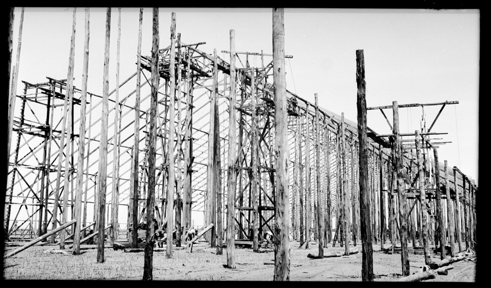 A large shed like structure, consisting of lots of upright wooden poles and the beginnings of a roof frame.