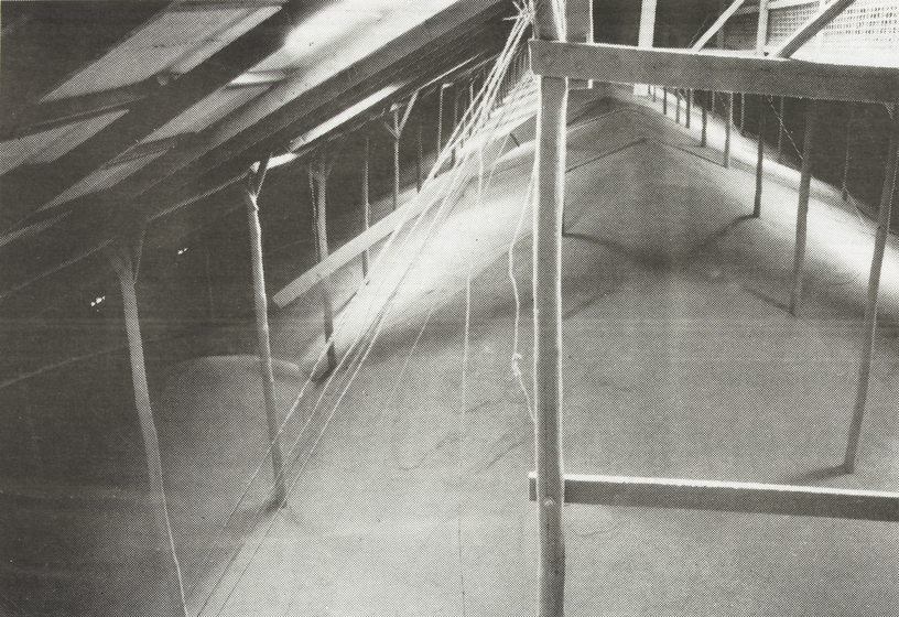 The inside of a large shed, fill almost to the roof line with grain. Some sticks that are holding up the roof can be seen popping out of the grain pile.