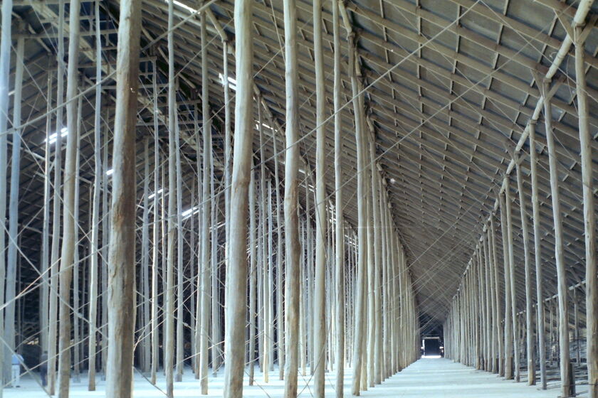 The interior of a large, tall shed. The roof is being held up by a large number of wooden stick poles.