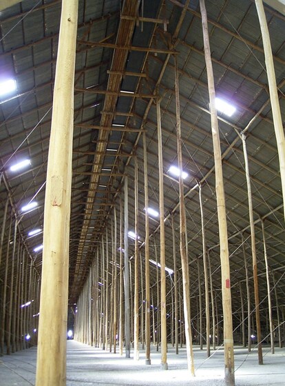 The interior of a large, tall shed. The roof is being held up by a large number of wooden stick poles.