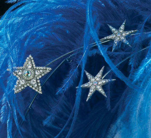 Blue and white ostrich feather bustle with spray of star-shaped Swarovski crystals