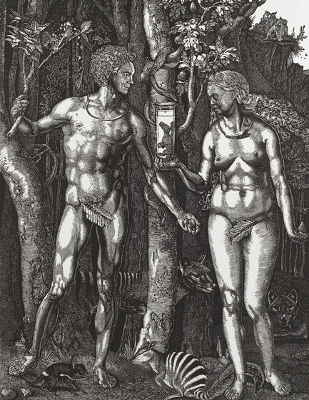 Two figures, a male and a female, reflective of Adam and Eve, stand partially naked in front of a forest of trees. On the ground are different types of animals including bandicoots and thylacine's. The woman holds a jar full of liquid, inside a small creature. 