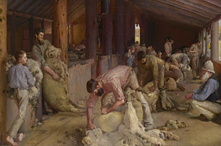 Painting scene set in a wooden structured shearing shed. Three men stand in a row, each pinning a ram to the wool shed boards and shearing various parts of its body. Other men stand around the shed doing other jobs, including carrying fleece, dragging rams, sweeping boards and drinking.