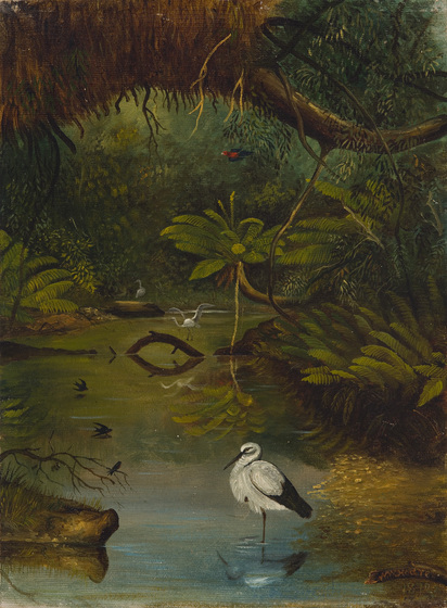  A stream runs through a rainforest landscape, full of ferns, bent over trees and greenery. In the foreground a bird stands in the stream, with other smaller birds positioned in the background.